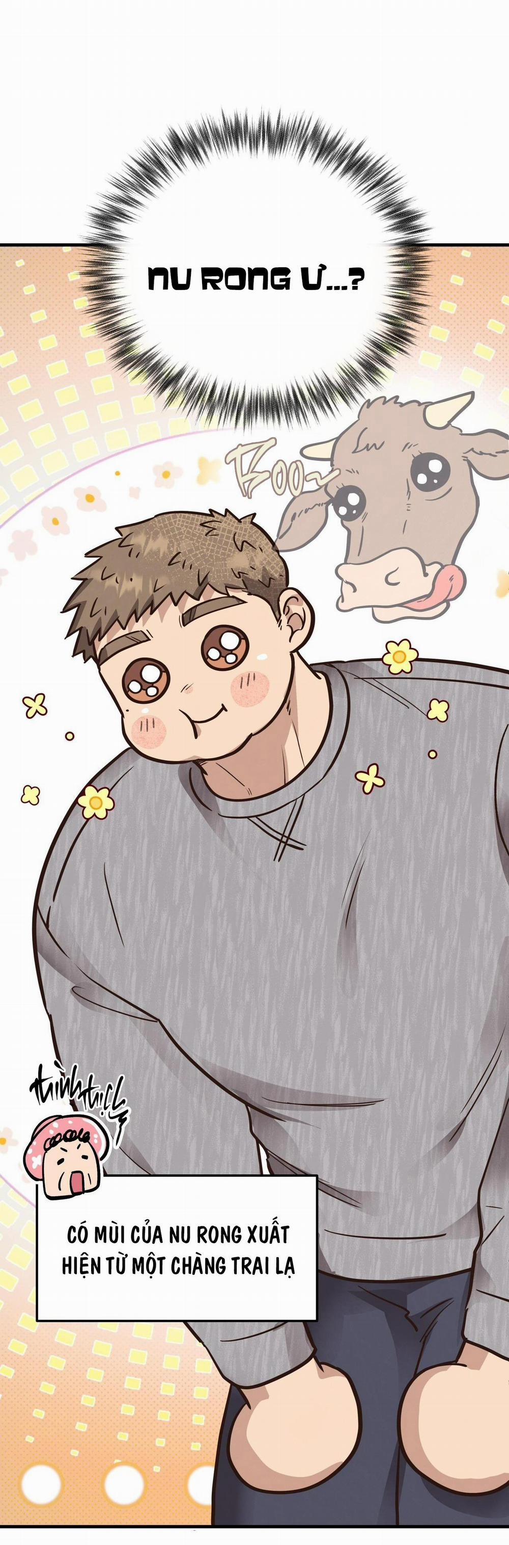 Mật Gấu 54 trang 71