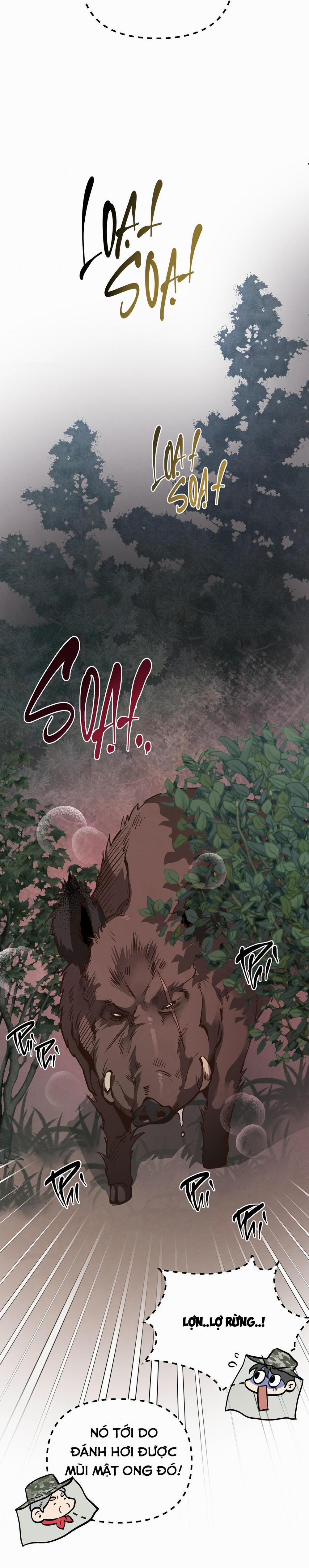 Mật Gấu 55 trang 48