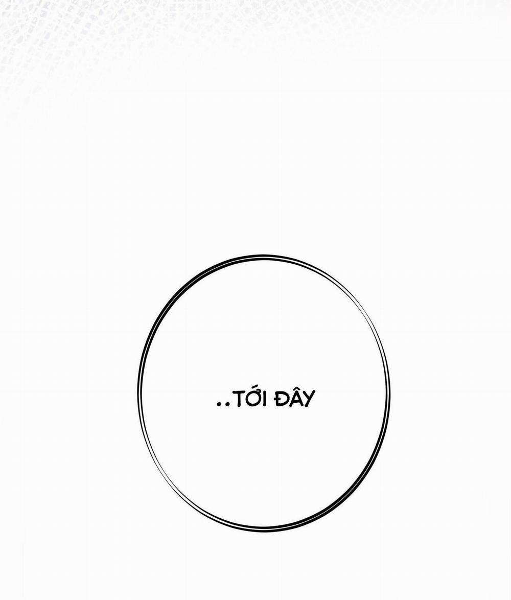 Mật Gấu 55 trang 66