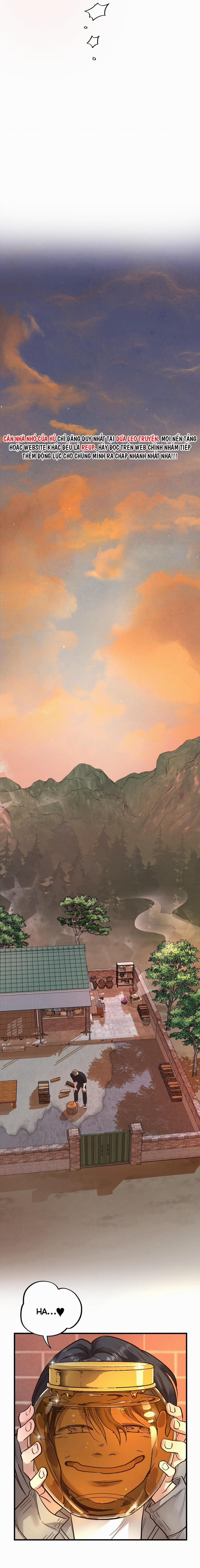 Mật Gấu 56 trang 17