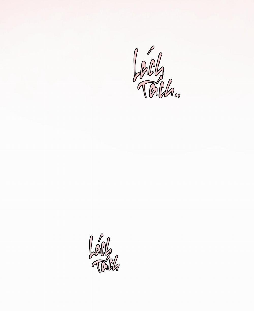 Mật Gấu 56 trang 44