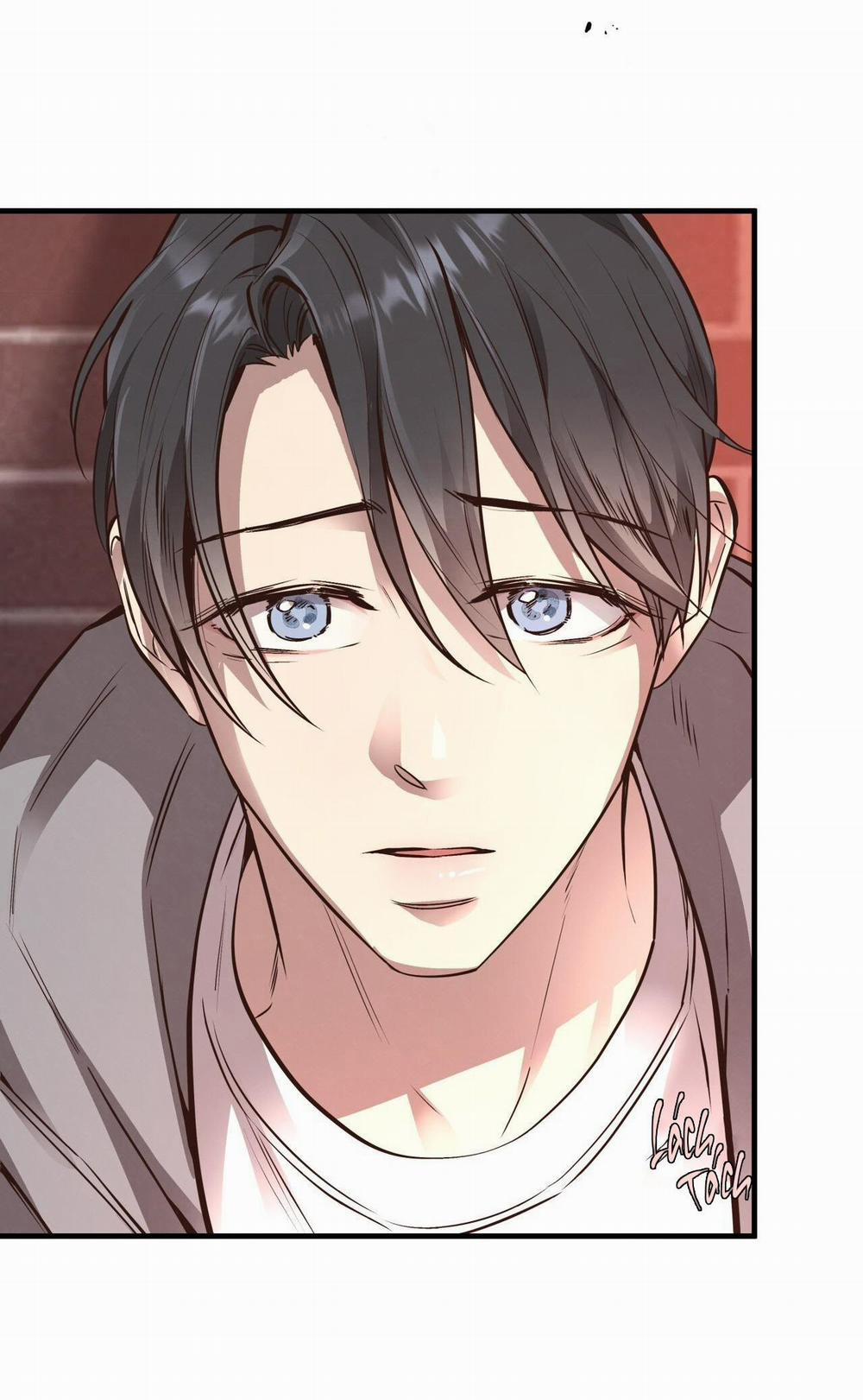 Mật Gấu 56 trang 53