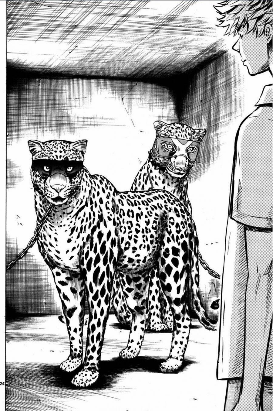 Mặt Nạ Anh Hùng – Hero Mask 13 trang 4