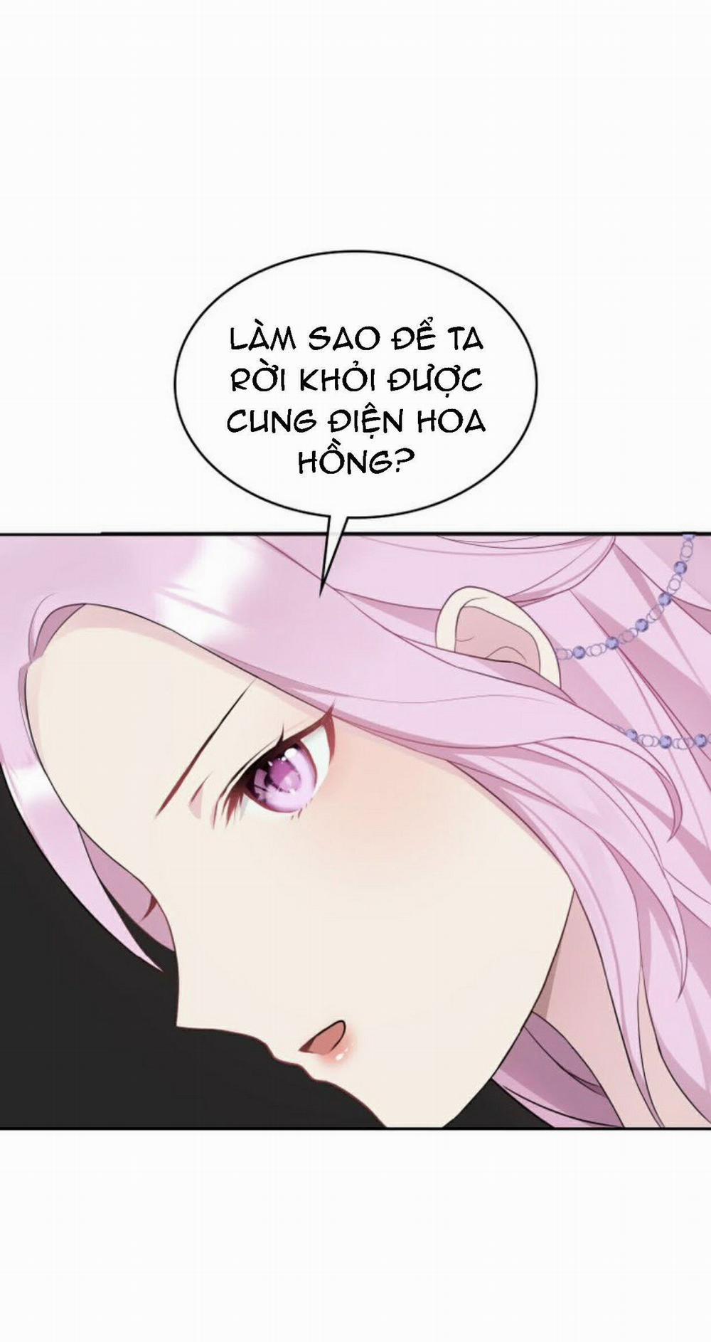 Mặt Nạ Hoàng Đế 8 trang 4