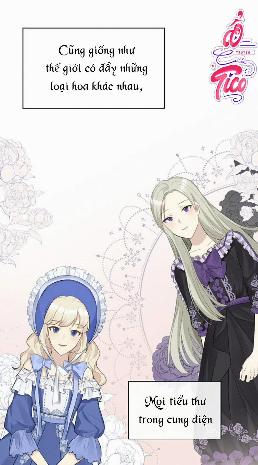 Mặt Nạ Hoàng Đế 9 trang 22