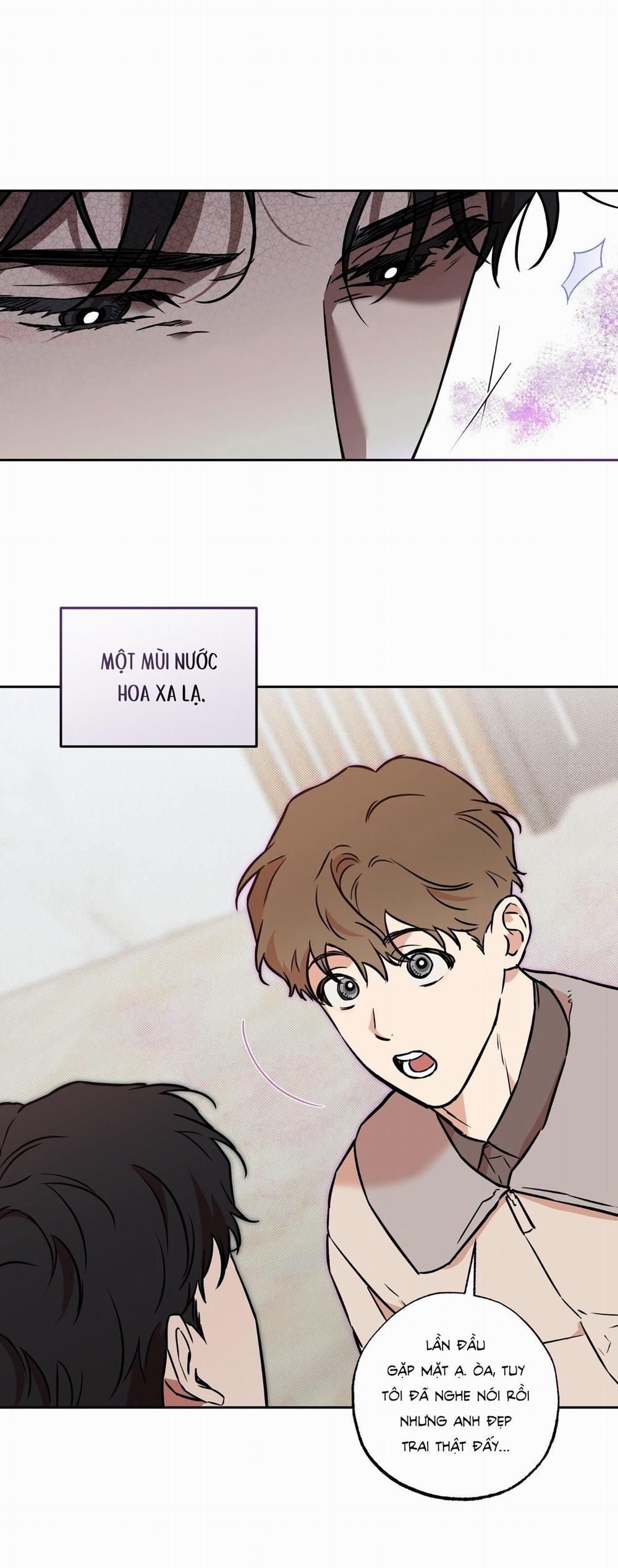 Mật Ngọt Chết Ruồi 13 trang 14