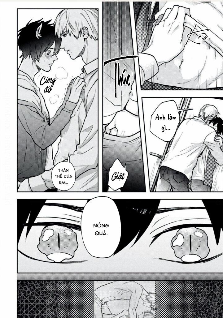 Mật Ngọt Dã Thú 2 trang 10