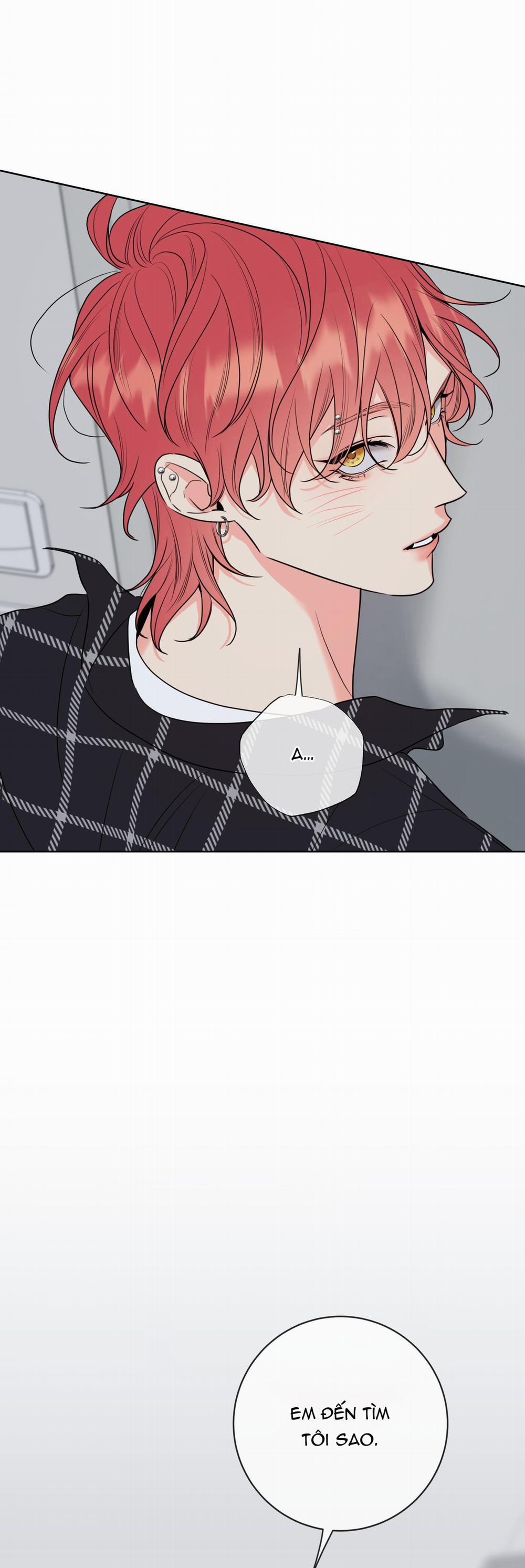 MẬT ONG NHÀ LÀM 14 trang 67