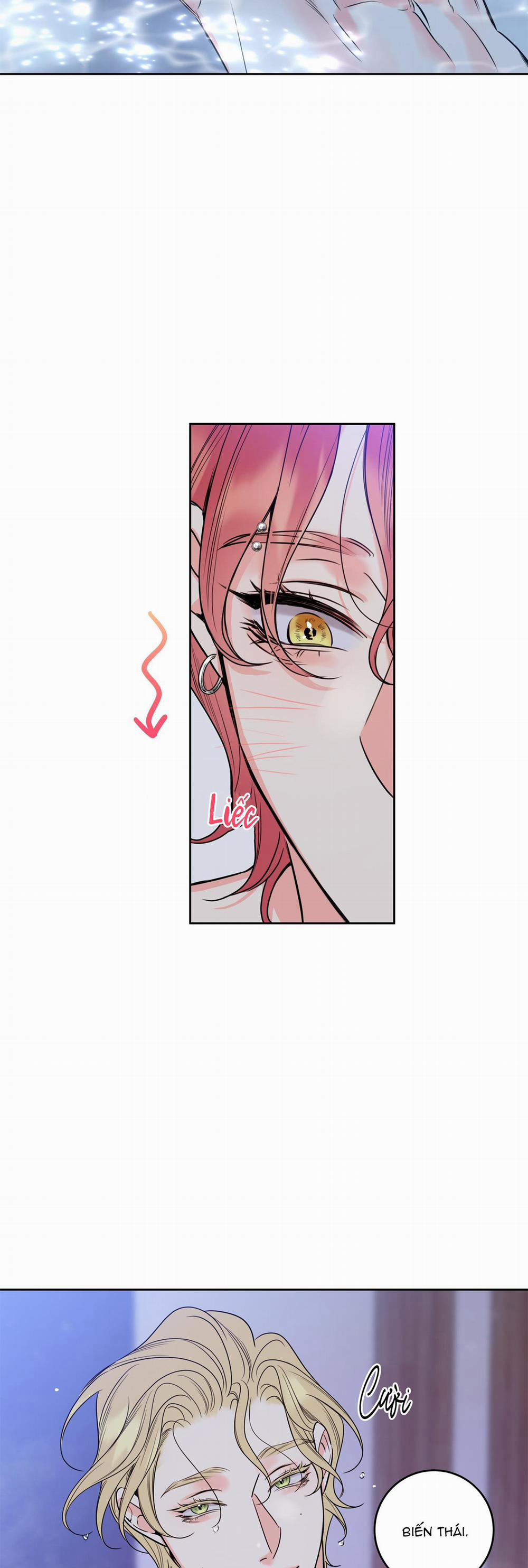 MẬT ONG NHÀ LÀM 21 trang 8