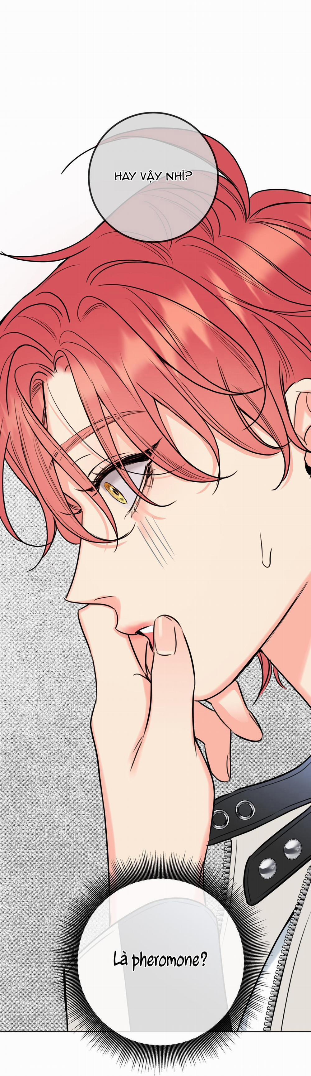 MẬT ONG NHÀ LÀM 23 trang 65