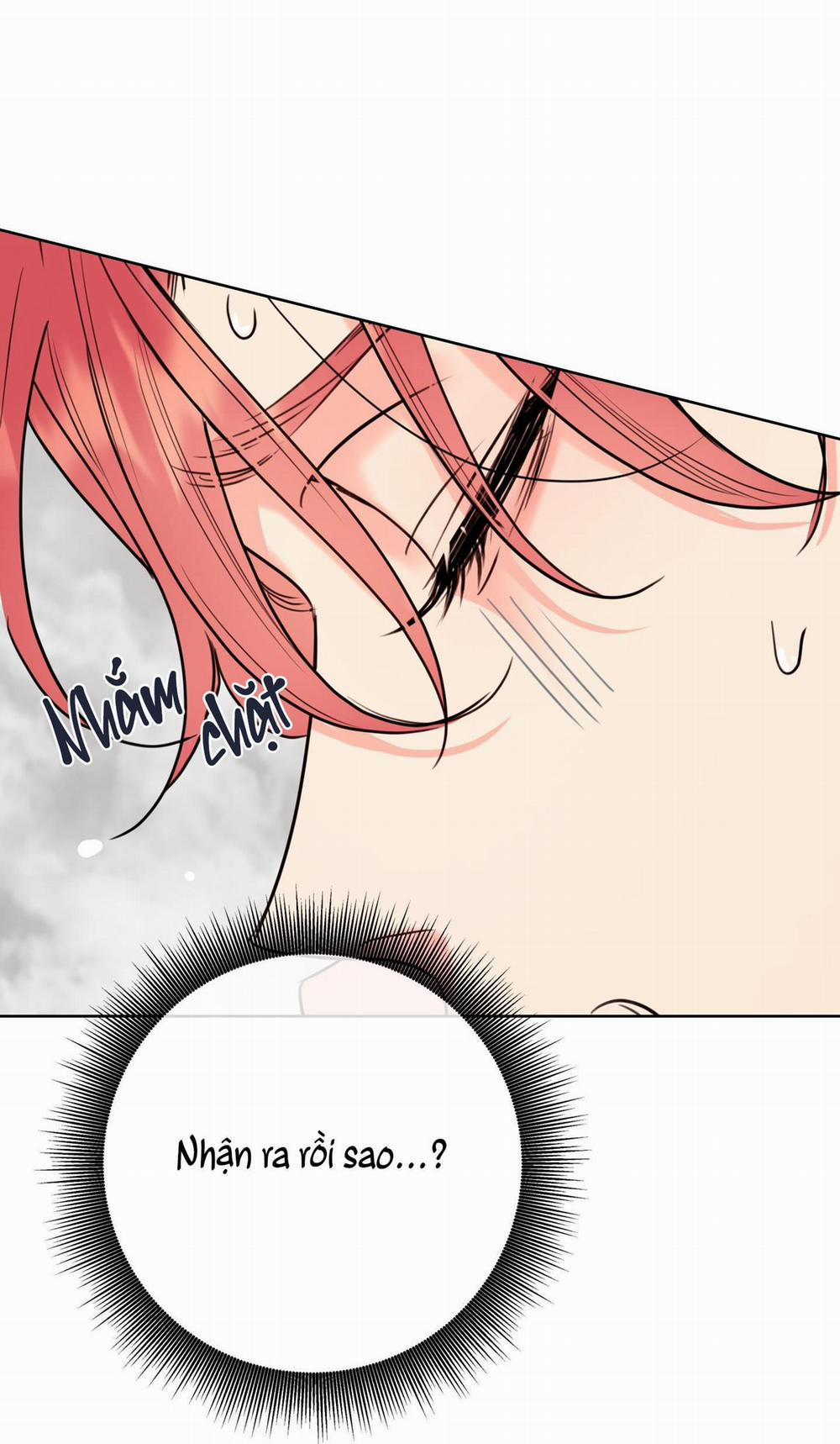 MẬT ONG NHÀ LÀM 23 trang 67
