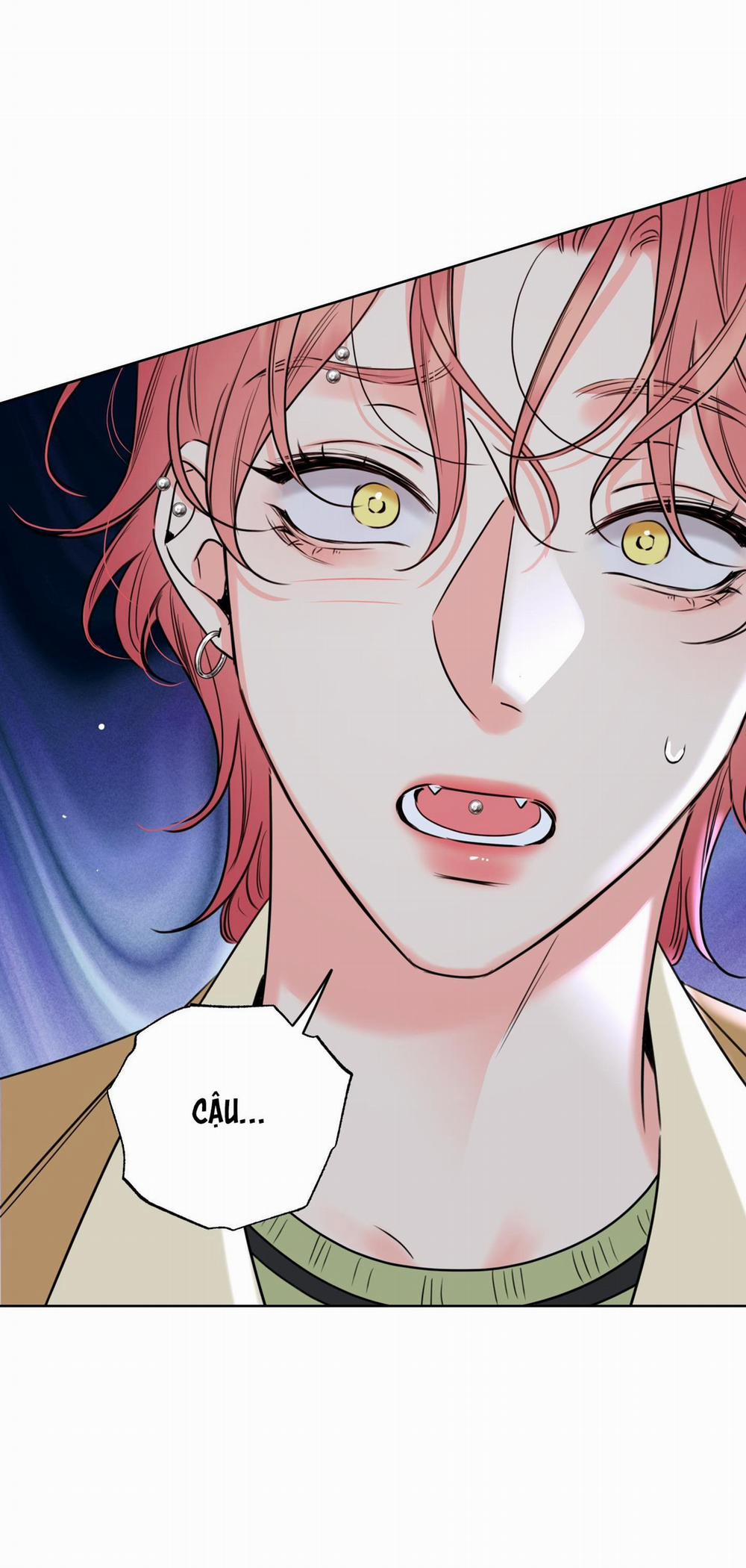 MẬT ONG NHÀ LÀM 27 trang 41