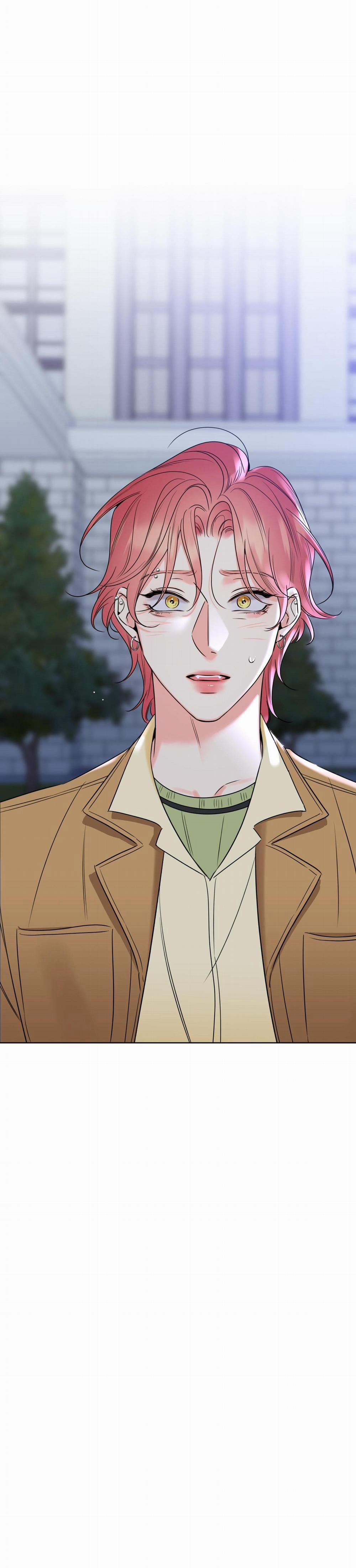 MẬT ONG NHÀ LÀM 27 trang 44