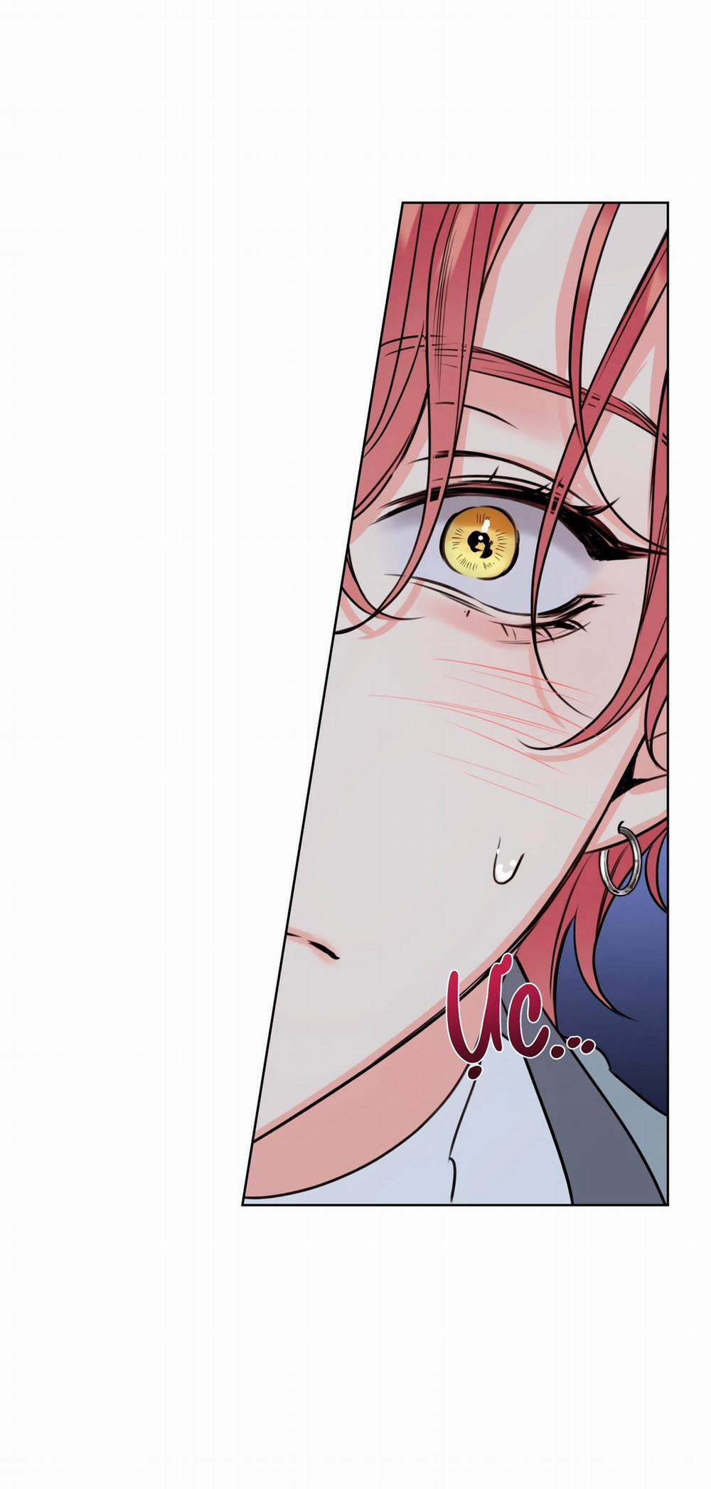 MẬT ONG NHÀ LÀM 28 trang 14