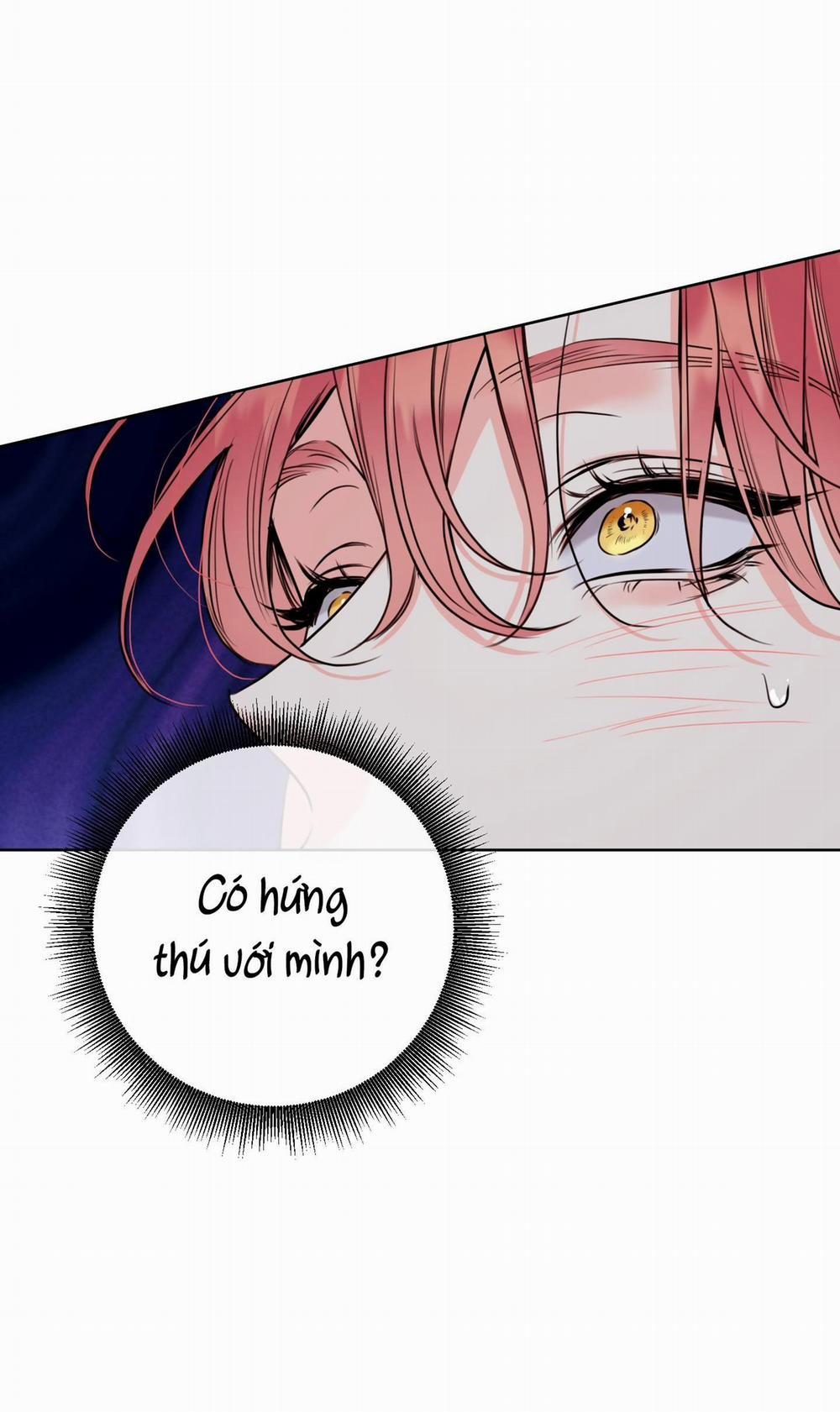 MẬT ONG NHÀ LÀM 28 trang 18