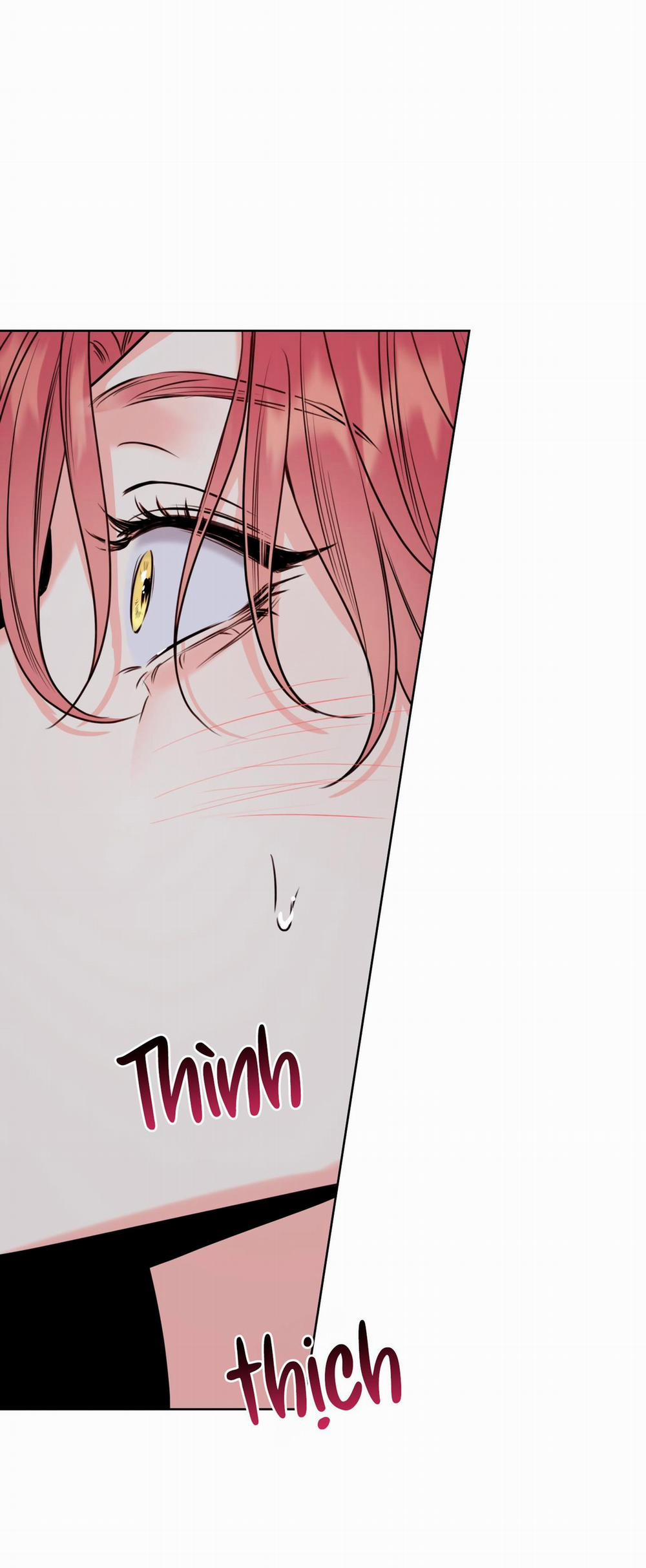 MẬT ONG NHÀ LÀM 28 trang 22