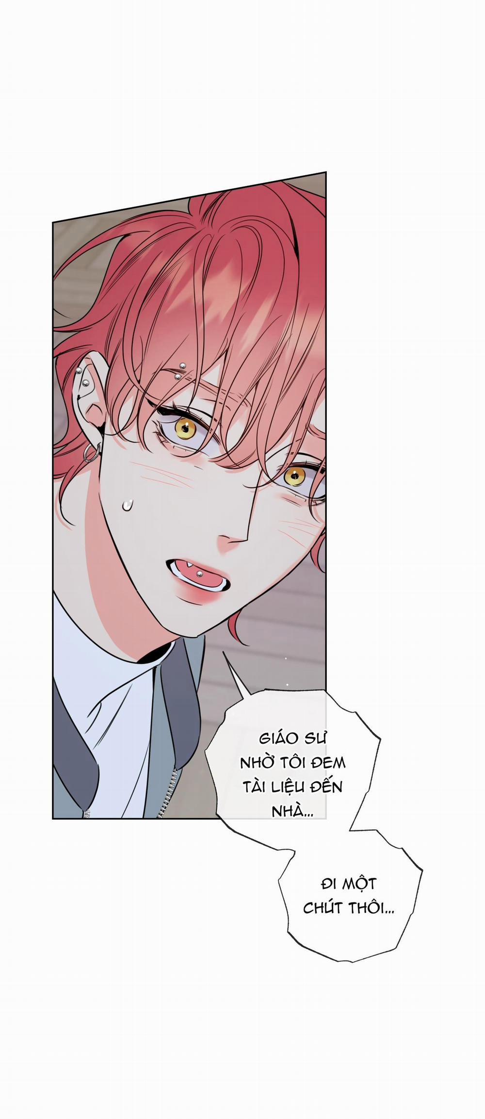 MẬT ONG NHÀ LÀM 28 trang 51