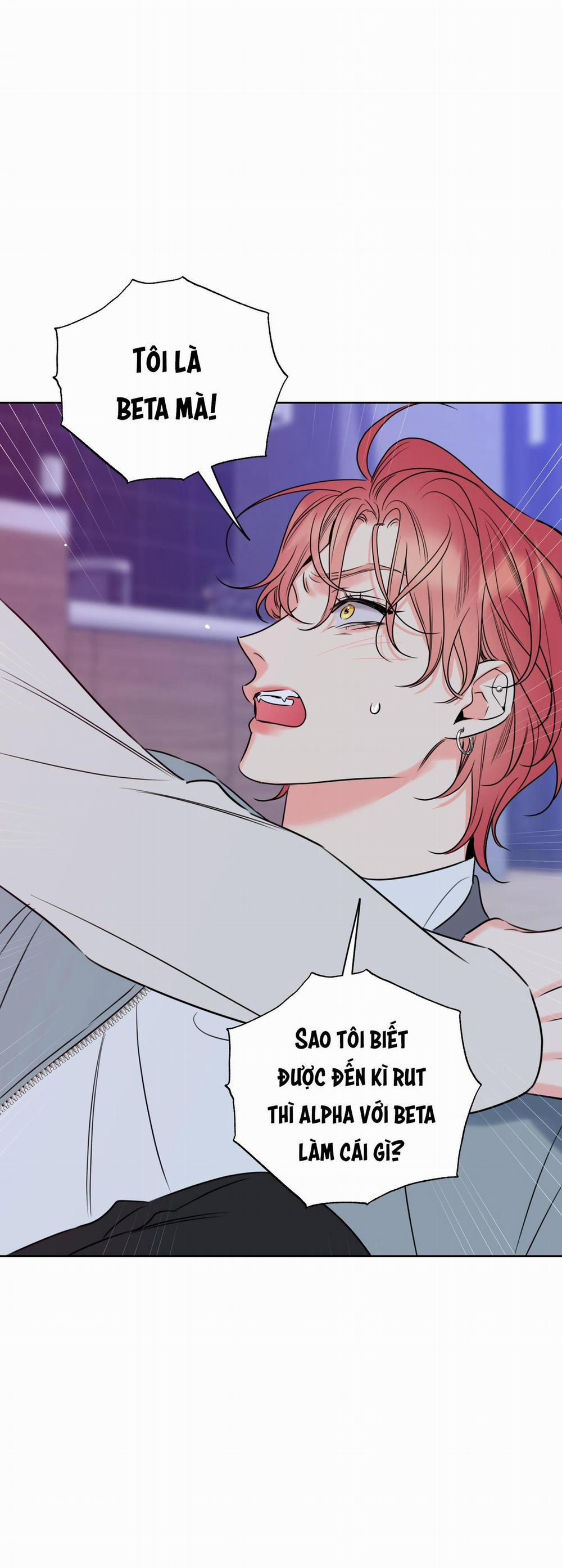 MẬT ONG NHÀ LÀM 28 trang 56