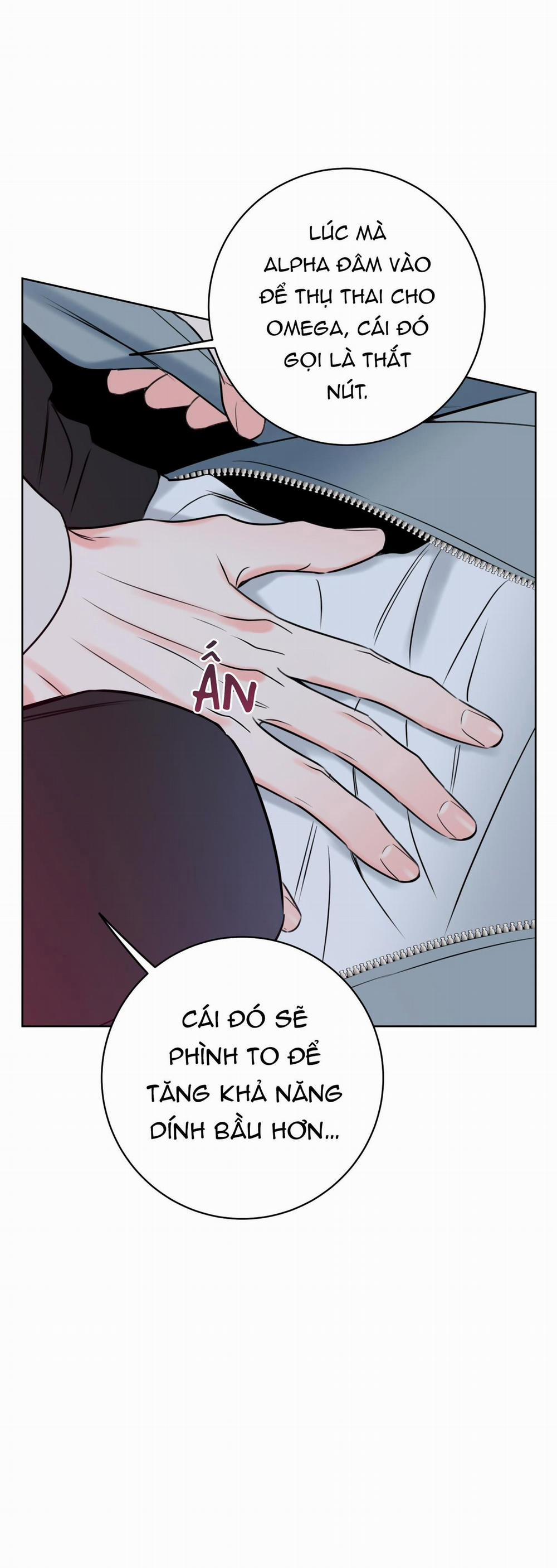 MẬT ONG NHÀ LÀM 28 trang 58