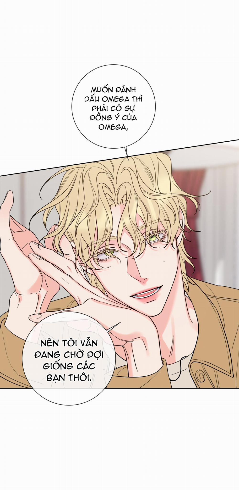 MẬT ONG NHÀ LÀM 4 trang 11