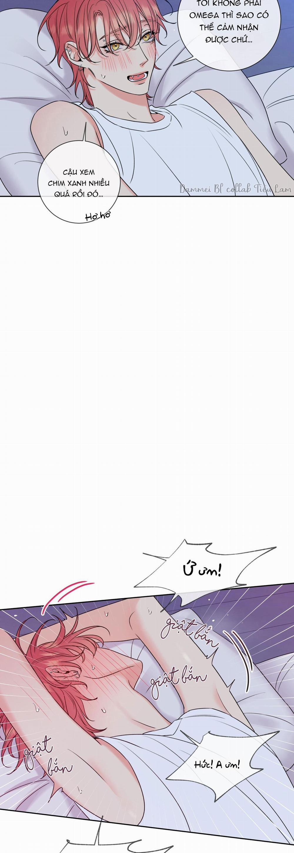 MẬT ONG NHÀ LÀM 5 trang 10