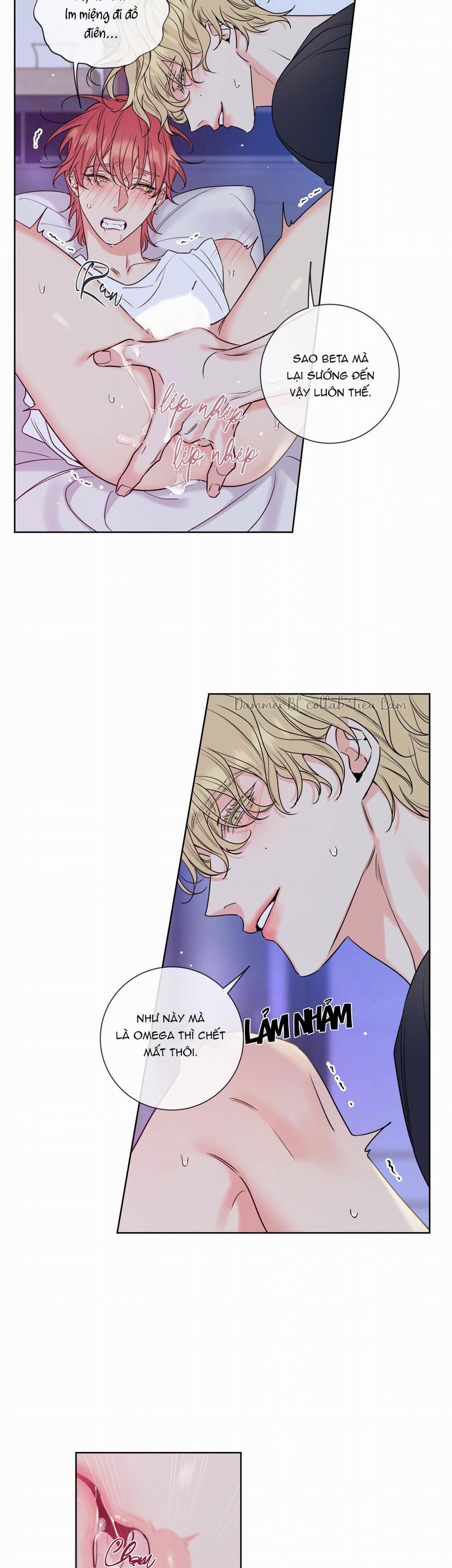 MẬT ONG NHÀ LÀM 5 trang 13