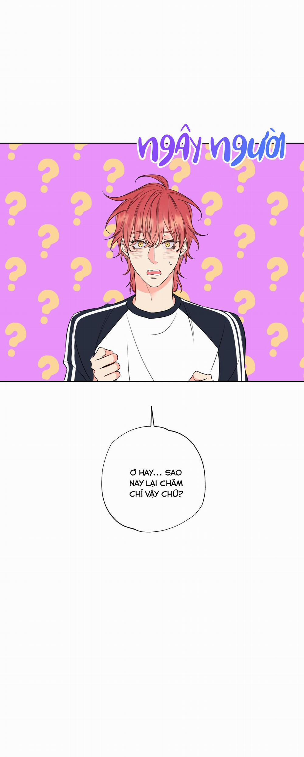 MẬT ONG NHÀ LÀM 6 trang 19