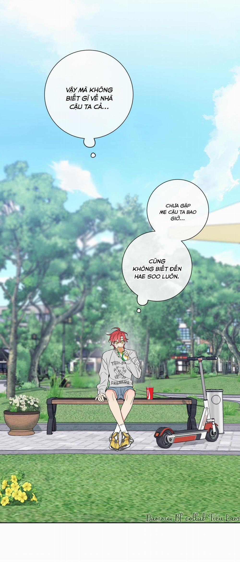 MẬT ONG NHÀ LÀM 6 trang 24