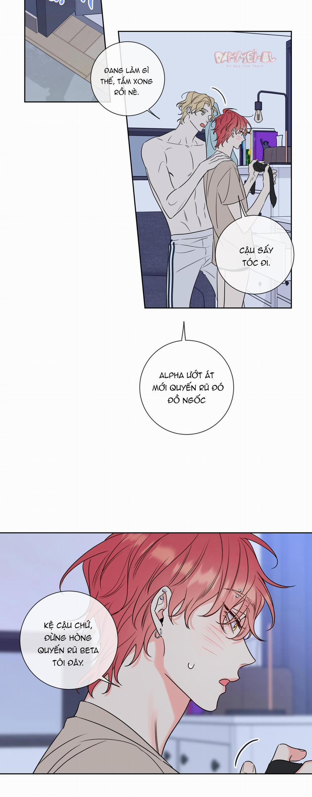 MẬT ONG NHÀ LÀM 8 trang 15