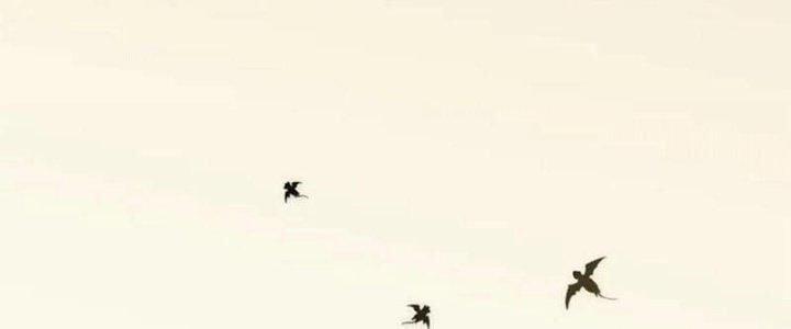 Mạt Thế Đạo Tặc Hành 106 trang 138