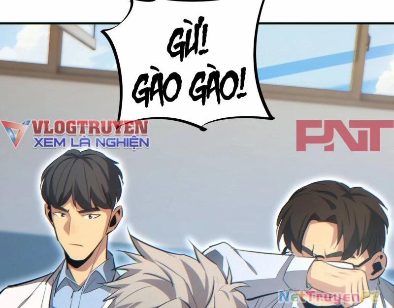 Mạt Thế Trọng Sinh: Ta Quay Gacha Làm Trùm! 14 trang 117