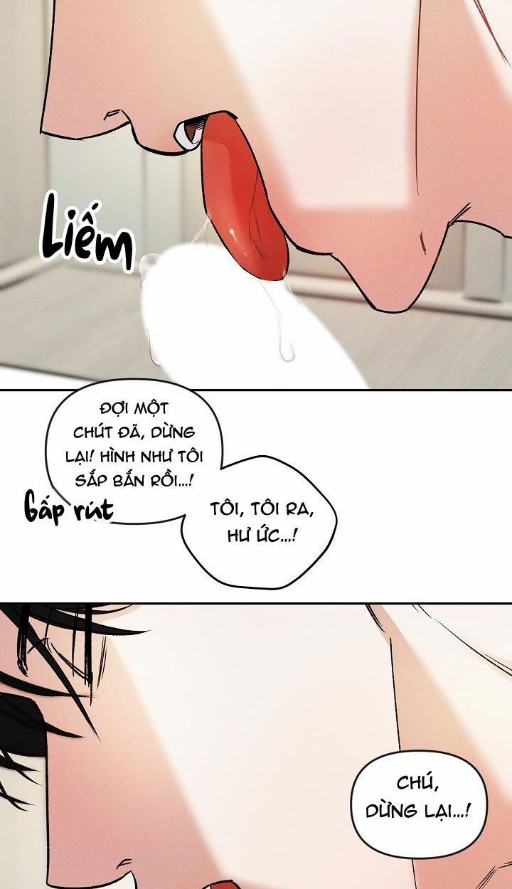 Mặt Trời Của Đêm 12 trang 21