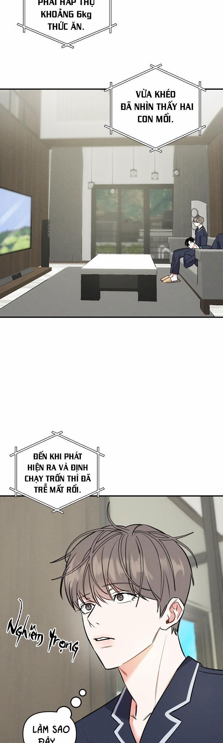 Mặt Trời Của Đêm 13 trang 7