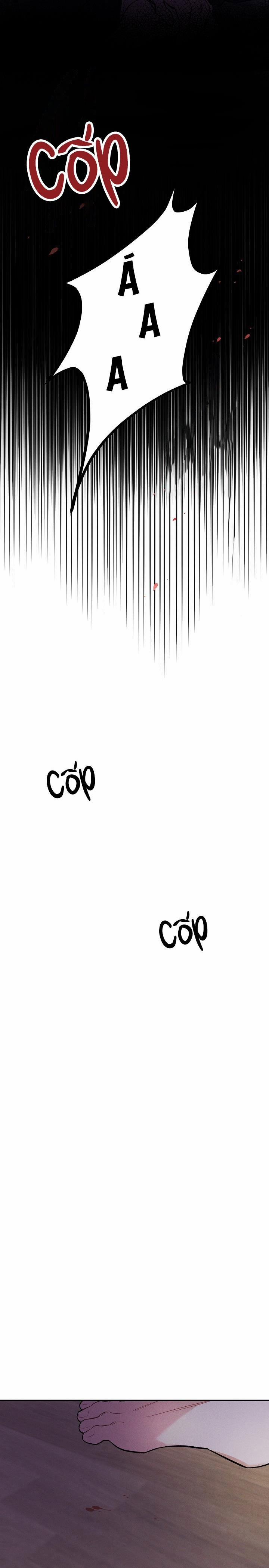 Mặt Trời Của Đêm 20 trang 8