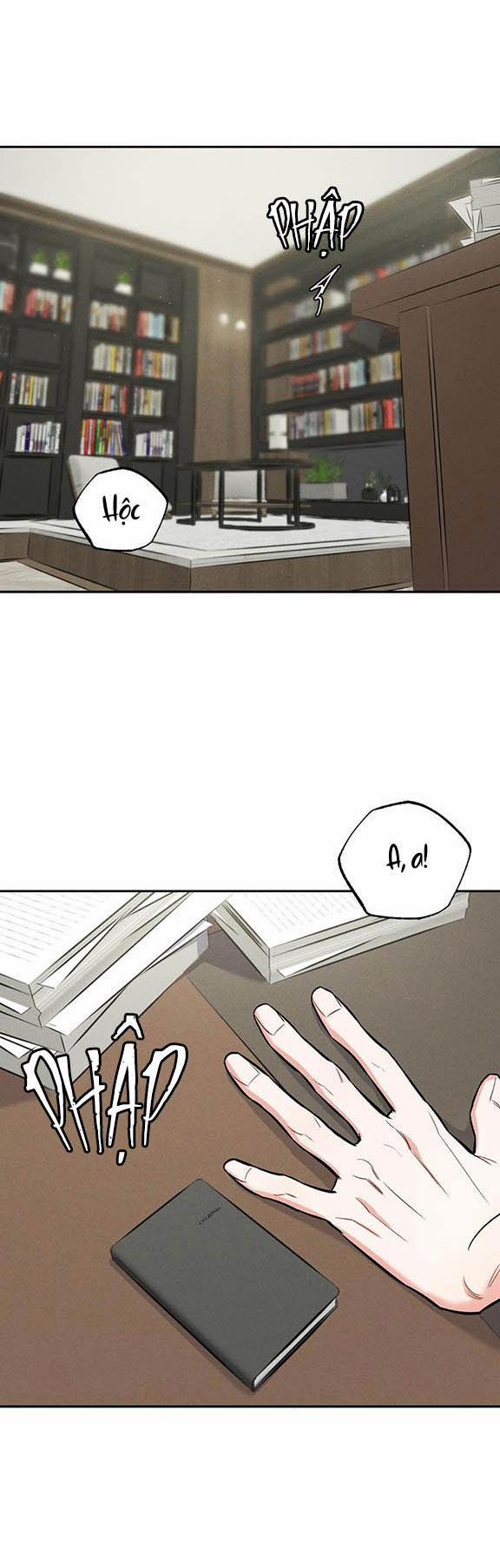 Mặt Trời Của Đêm 24 trang 2