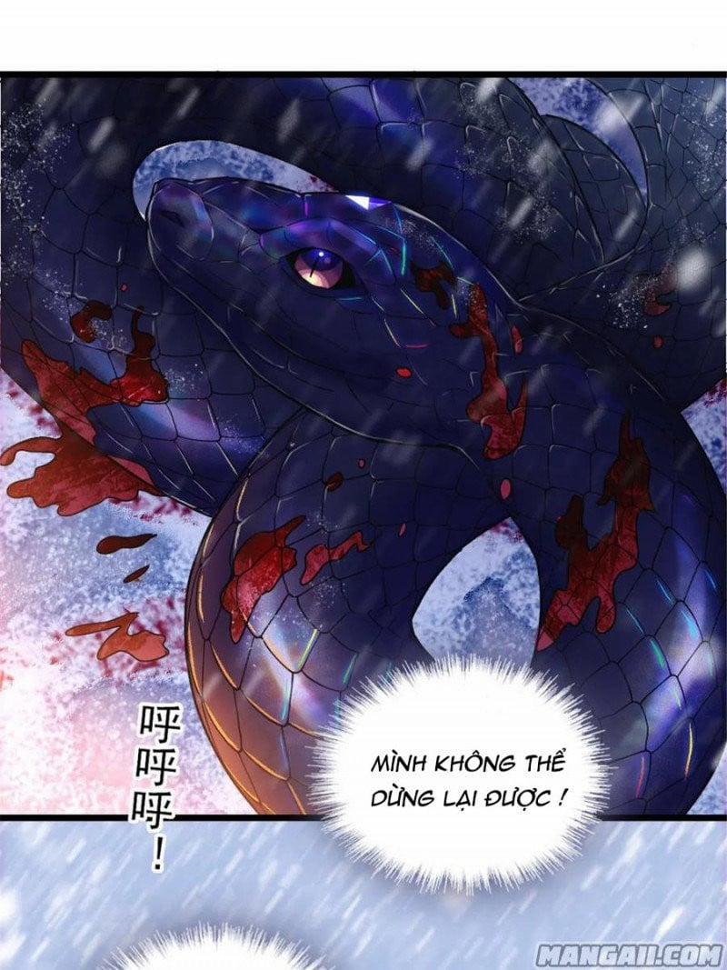 Mau Chạy !! Nam Thần Thú Thế Đến Truy Thê 100 trang 24