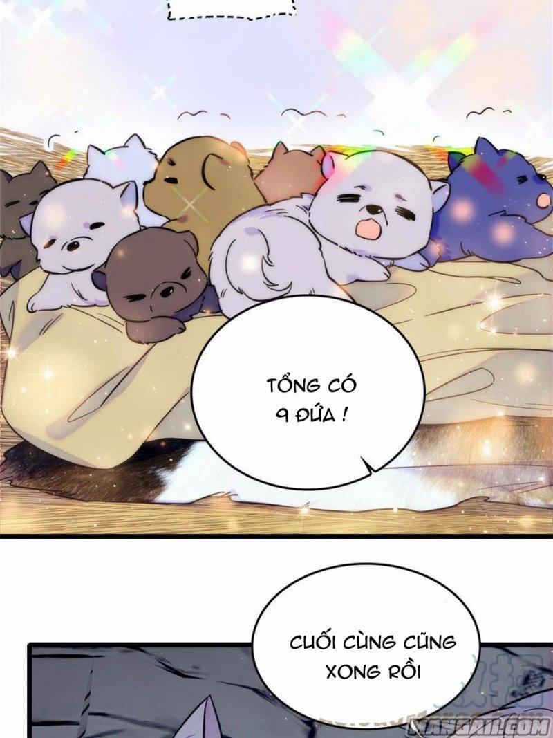 Mau Chạy !! Nam Thần Thú Thế Đến Truy Thê 107 trang 13