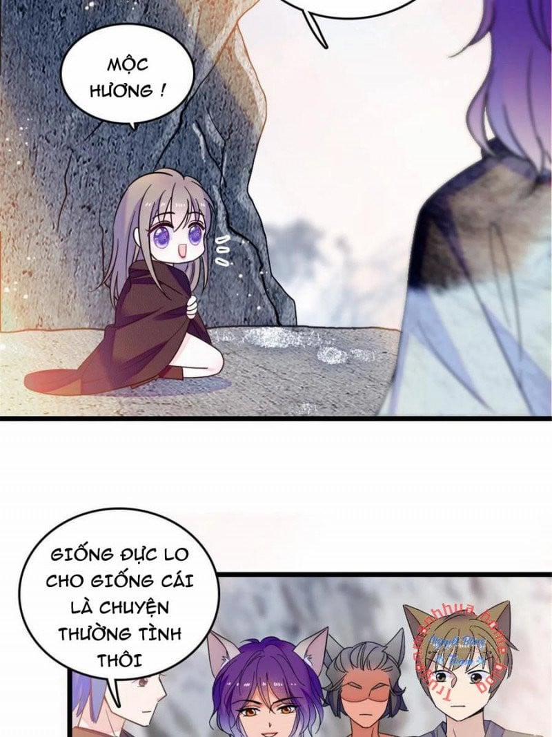 Mau Chạy !! Nam Thần Thú Thế Đến Truy Thê 87 trang 24