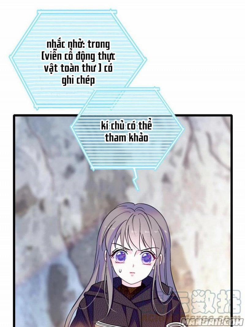 Mau Chạy !! Nam Thần Thú Thế Đến Truy Thê 94 trang 12