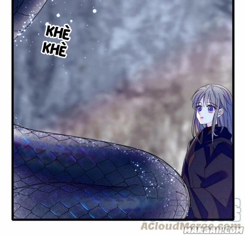 Mau Chạy !! Nam Thần Thú Thế Đến Truy Thê 94 trang 3