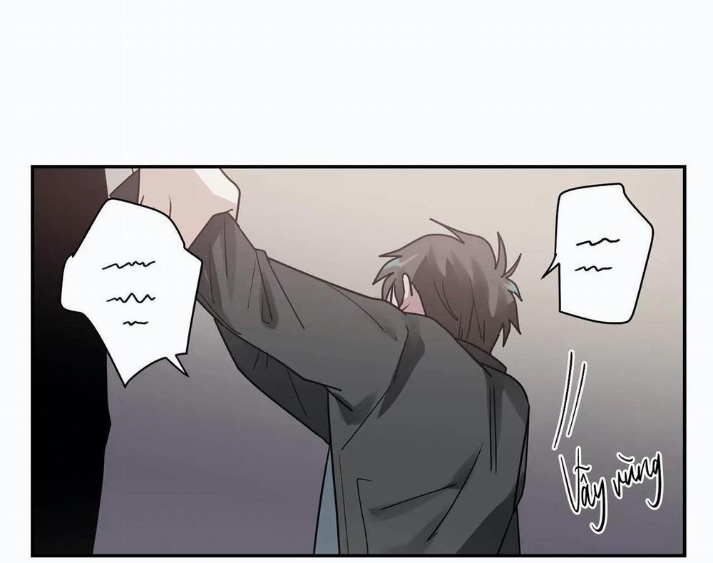 Mâu thuẫn và tương phản 11 trang 5