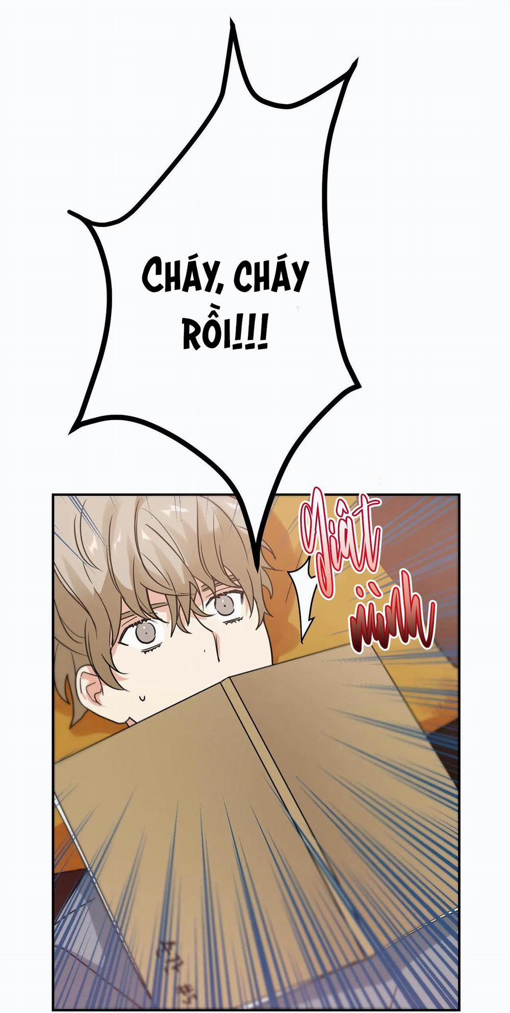 Mâu thuẫn và tương phản 11 trang 51