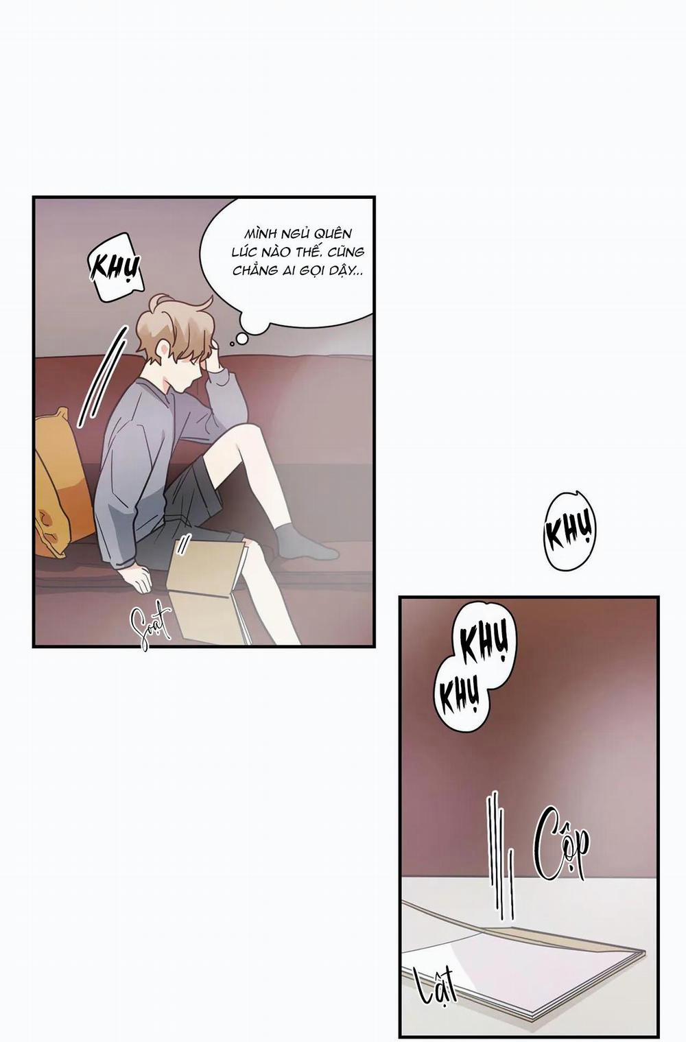 Mâu thuẫn và tương phản 11 trang 52