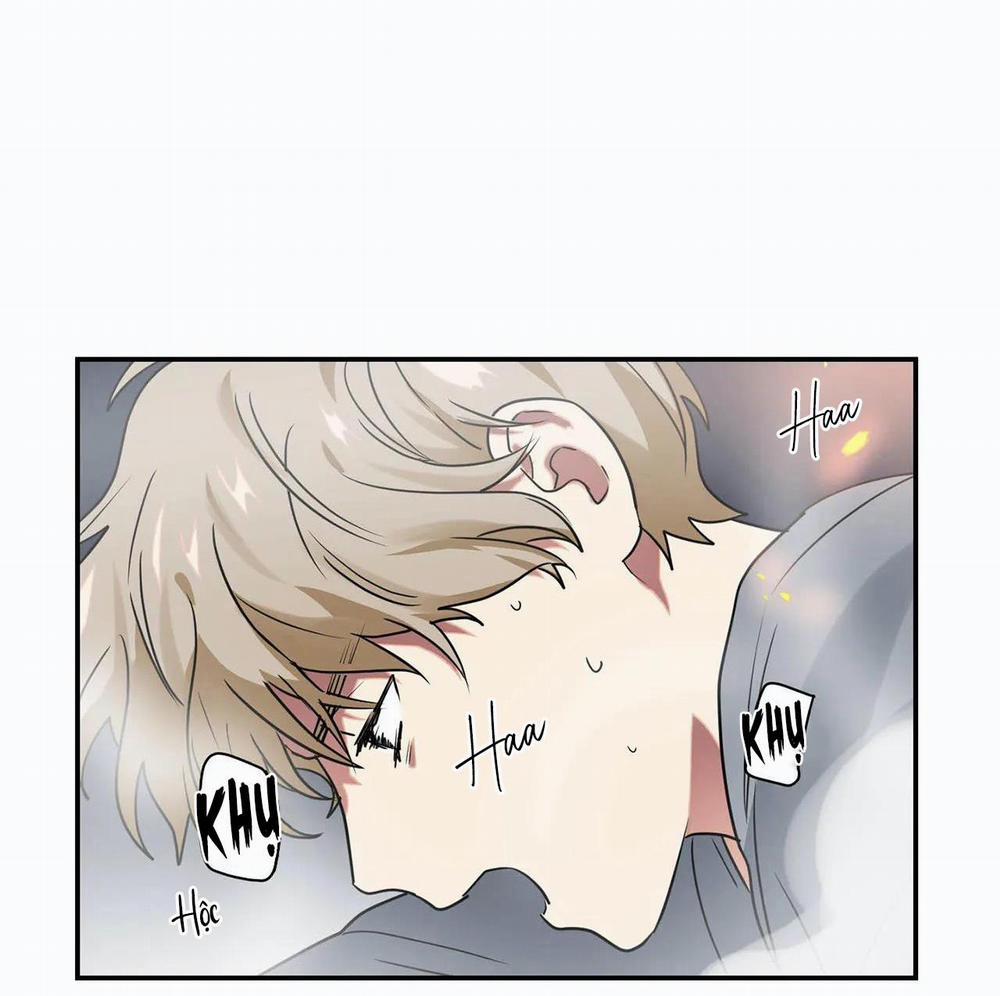 Mâu thuẫn và tương phản 11 trang 75