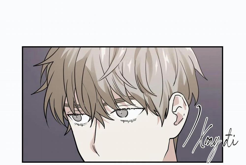 Mâu thuẫn và tương phản 11 trang 8