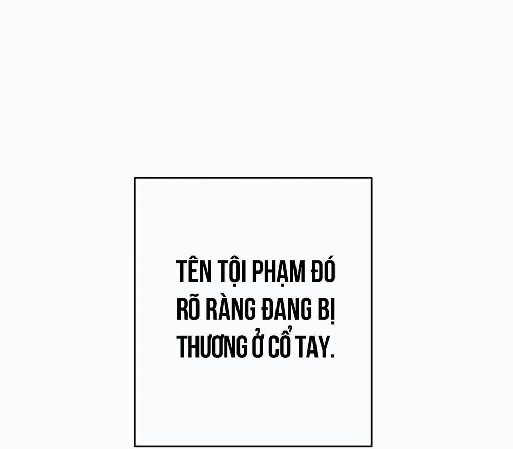 Mâu thuẫn và tương phản 11 trang 81