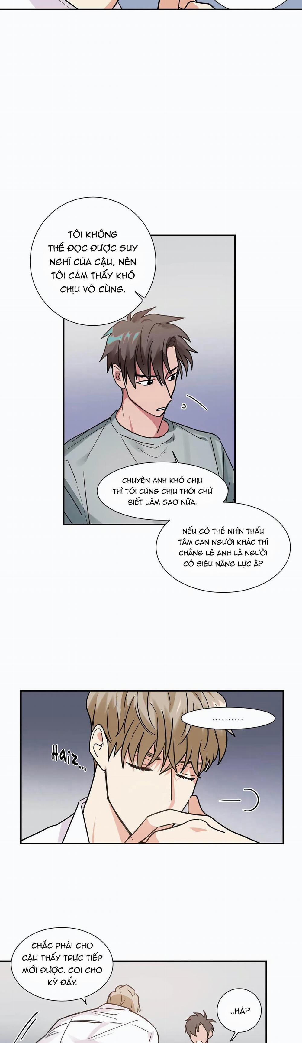 Mâu thuẫn và tương phản 12 trang 10