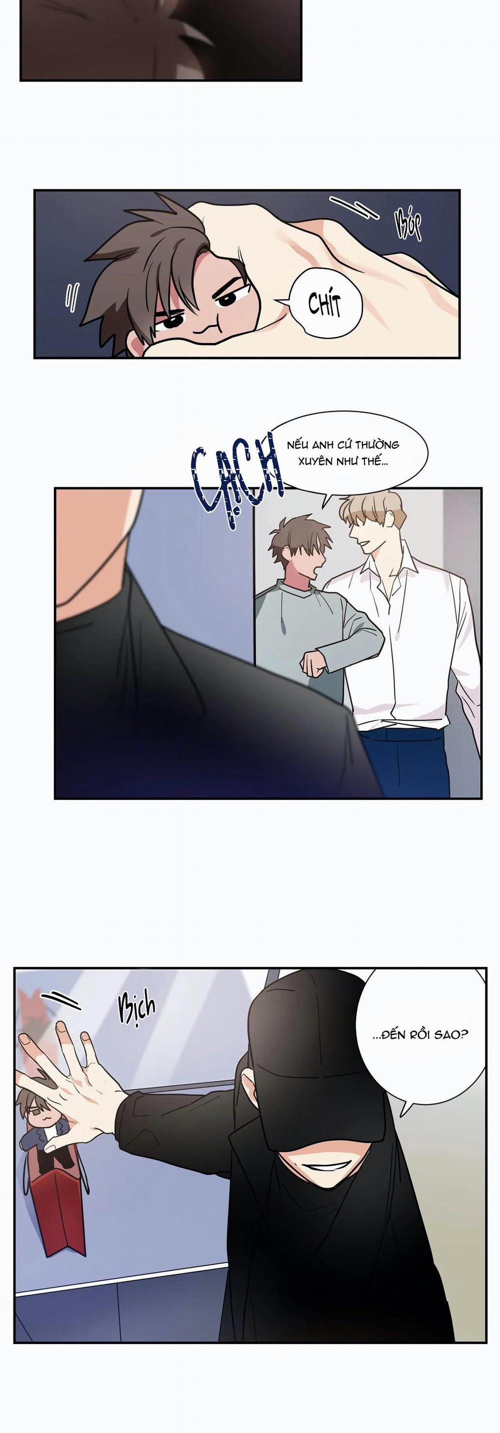 Mâu thuẫn và tương phản 12 trang 17