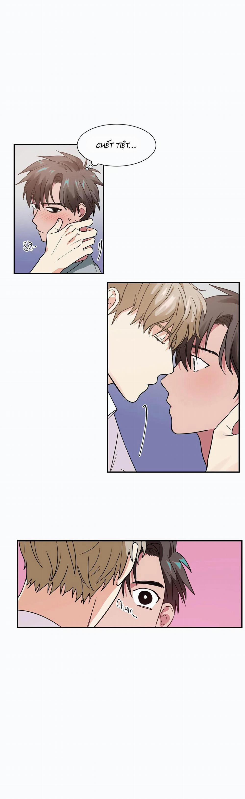 Mâu thuẫn và tương phản 12 trang 6