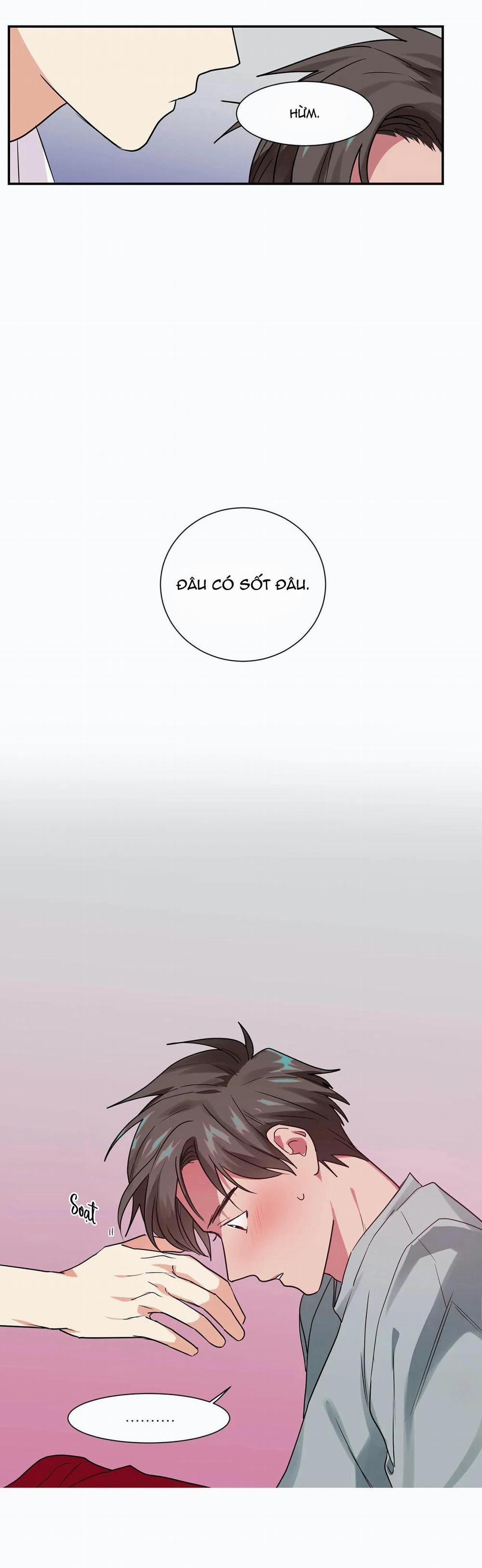 Mâu thuẫn và tương phản 12 trang 7